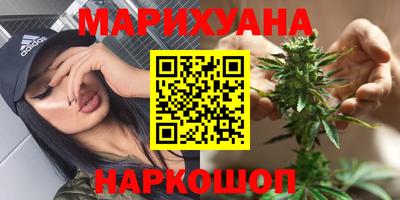 шишки Новозыбков