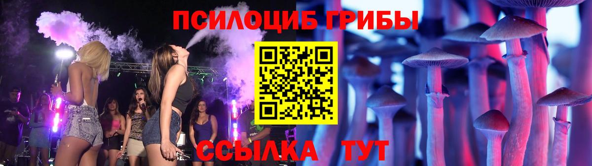 Псилоцибиновые грибы GOLDEN TEACHER Тверь