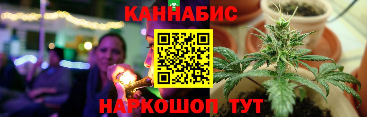 Бошки Шишки SATIVA & INDICA  Вход с VPN  Каннабис план  Тверь 